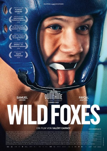Wild Foxes